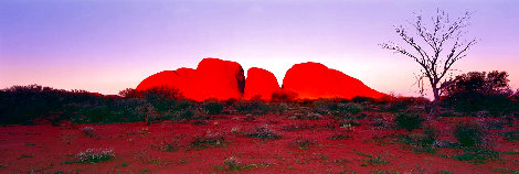 Ancient Earth 1.5M Huge - Recess Mount - Australia Panorama - Peter Lik
