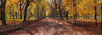 Peter Lik Australian Photographer Panorama Landscape Artist Artwork For ...