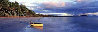 Beached 1.5M - Huge - Queensland, Australia - Cigar Leaf Panorama by Peter Lik - 2