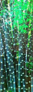 Whispering Spirit Panorama - Peter Lik Whispering Spirit Panorama - Peter Lik