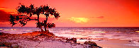 Pandanus Twilight (Frazier Island)  Panorama by Peter Lik - 0