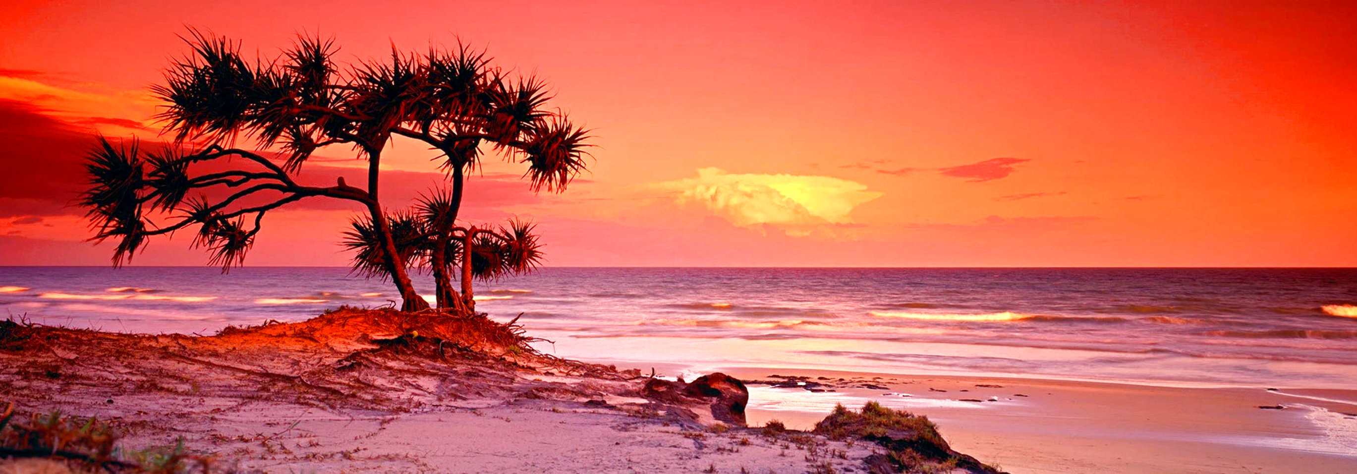 Pandanus Twilight (Frazier Island) Panorama by Peter Lik Pandanus Twilight (Frazier Island) Panorama by Peter Lik