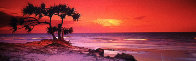 Pandanus Twilight (Frazier Island)  Panorama by Peter Lik - 1