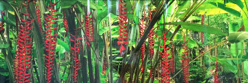 Blushing Forest 1.5M Huge Panorama - Peter Lik Blushing Forest 1.5M Huge Panorama - Peter Lik