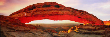 Majestic (Canyonlands NP, Utah) 2M Huge Panorama - Peter Lik