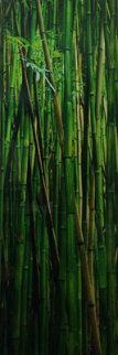 Emerald Forest 1.5M Huge Panorama - Peter Lik Emerald Forest 1.5M Huge Panorama - Peter Lik