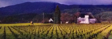 Napa Valley, California Panorama - Peter Lik Napa Valley, California Panorama - Peter Lik