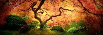 Tree of Zen 1.5M Huge Panorama - Peter Lik Tree of Zen 1.5M Huge Panorama - Peter Lik