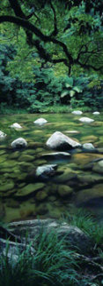 Pristine Waters (Mossman Gorge, Queensland) Panorama - Peter Lik Pristine Waters (Mossman Gorge, Queensland) Panorama - Peter Lik
