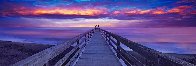 Sunset Dreams (Waimea, Kauai, Hawaii) 1.5M Panorama by Peter Lik - 0