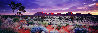 Painted Skies 1.5M -  Huge - Kata Tjuta NP, Australia Panorama by Peter Lik - 0