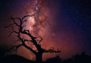Tree of the Universe (Mauna Kea, The Big Island, Hawaii) Panorama - Peter Lik Tree of the Universe (Mauna Kea, The Big Island, Hawaii) Panorama - Peter Lik