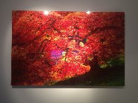 Enchantment 1.5M Huge Panorama by Peter Lik - 1 Enchantment 1.5M Huge Panorama by Peter Lik - 1