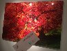 Enchantment 1.5M Huge Panorama by Peter Lik - 2 Enchantment 1.5M Huge Panorama by Peter Lik - 2