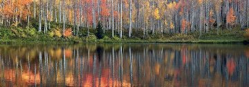 Autumn Echoes Panorama - Peter Lik Autumn Echoes Panorama - Peter Lik