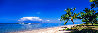 Aloha Shores - Lahaina, Maui, Hawaii Panorama by Peter Lik - 0