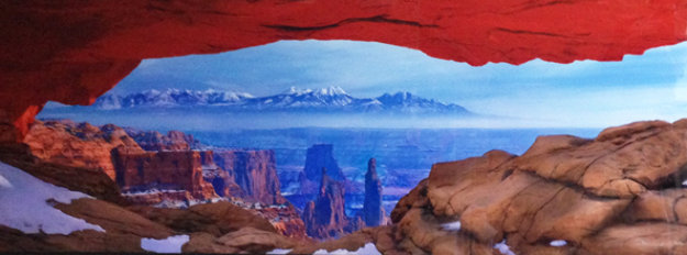 Blaze of Beauty (Grand Canyon, AZ) 1.5M Huge - Recess Mount by Peter Lik -  For Sale on Art Brokerage