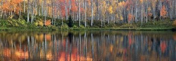 Autumn Echoes  Panorama - Peter Lik