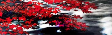 River of Zen AP (Telluride, Co) 2M Super Huge Panorama - Peter Lik River of Zen AP (Telluride, Co) 2M Super Huge Panorama - Peter Lik