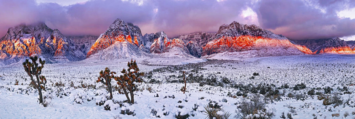 Desert Glow 1.5M - Huge - Red Rock Canyon, Nevada Panorama by Peter Lik