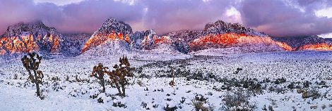 Desert Glow 1.5M - Huge - Red Rock Canyon, Nevada Panorama - Peter Lik