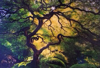 Inner Peace (Oregon) Panorama by Peter Lik - 0 Inner Peace (Oregon) Panorama by Peter Lik - 0
