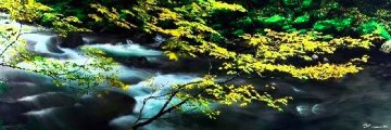 Forest Dreams (Small edition) 2M Huge Panorama - Peter Lik