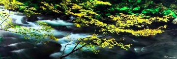Forest Dreams (Small edition) 2M Super Huge Panorama - Peter Lik Forest Dreams (Small edition) 2M Super Huge Panorama - Peter Lik
