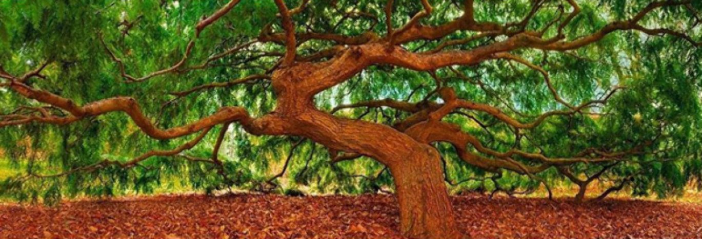 Spirit of Wisdom Panorama by Peter Lik Spirit of Wisdom Panorama by Peter Lik