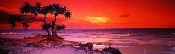 Twilight (small edition) 1.5M Huge Panorama - Peter Lik Twilight (small edition) 1.5M Huge Panorama - Peter Lik