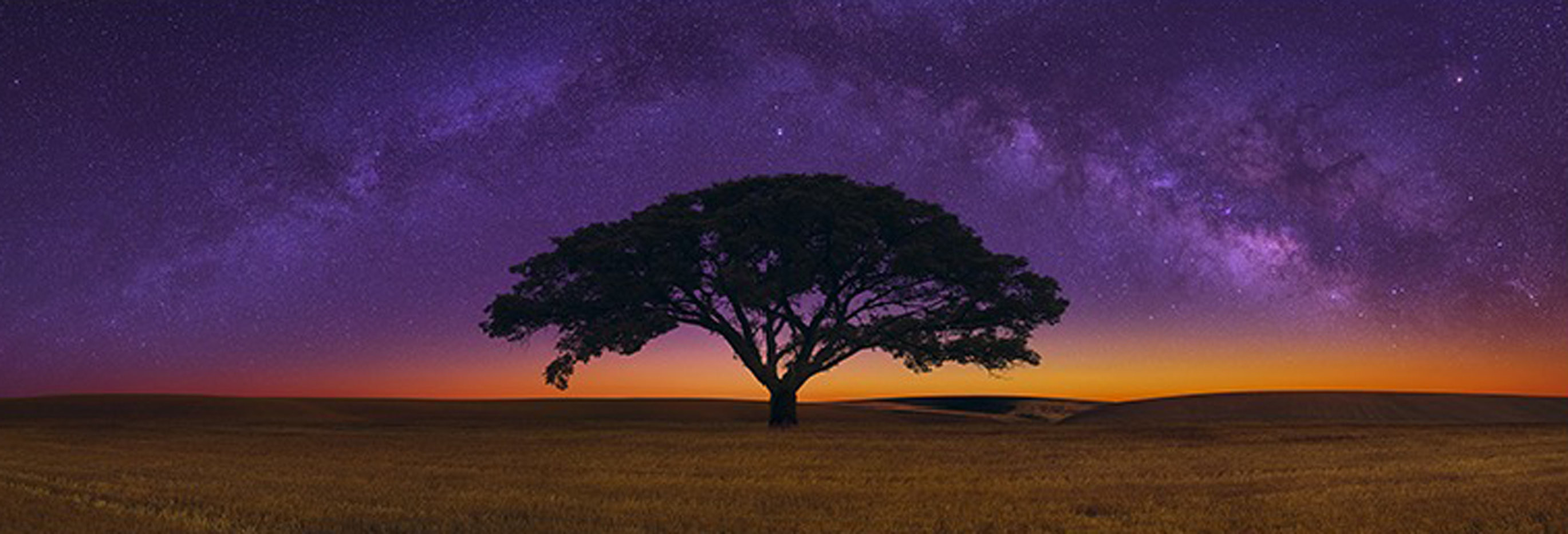 Celestial Dreams 1.5M Huge Panorama by Peter Lik Celestial Dreams 1.5M Huge Panorama by Peter Lik