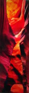 Vertigo 1.5M Huge - Cigar Leaf Frame Panorama - Peter Lik Vertigo 1.5M Huge - Cigar Leaf Frame Panorama - Peter Lik
