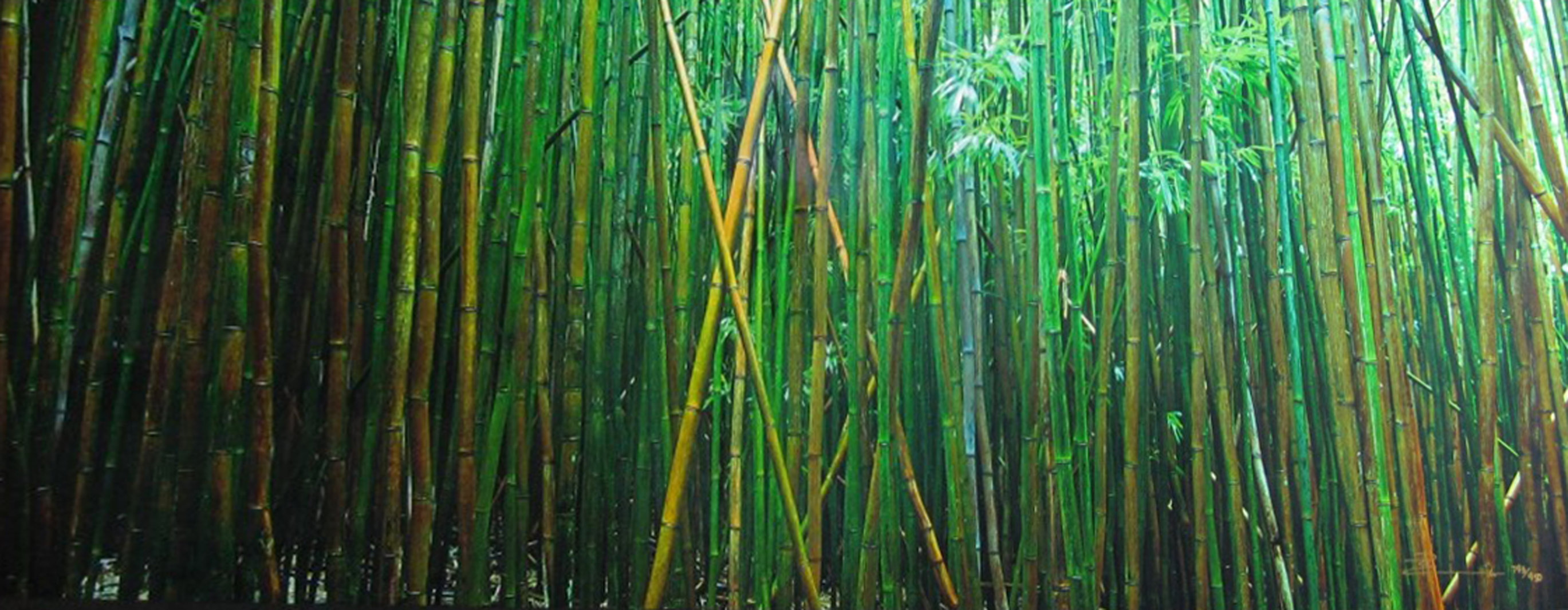 Prosperity (Maui, Hawaii) Panorama by Peter Lik Prosperity (Maui, Hawaii) Panorama by Peter Lik