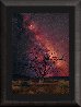 Stargazer 1M - Huge - Ash Wood Frame Panorama by Peter Lik - 1