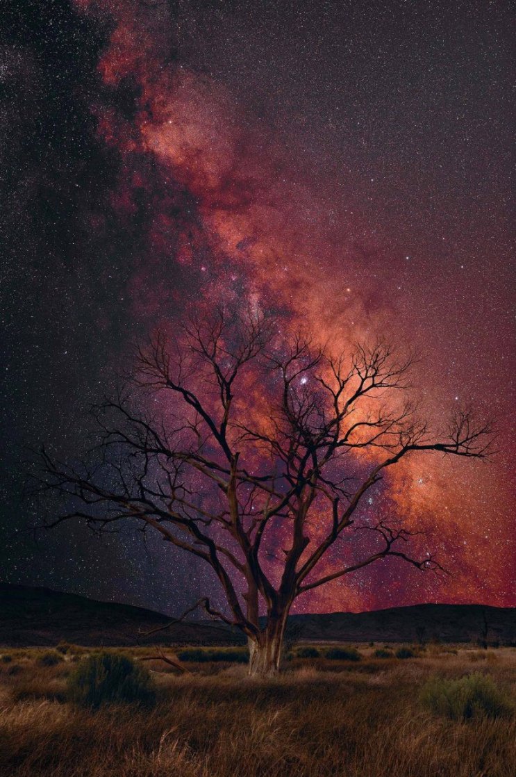 Stargazer Panorama by Peter Lik
