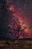 Stargazer - Huge 1.4M Panorama by Peter Lik - 0