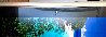 Pure (Fitzroy Island, Queensland) Panorama by Peter Lik - 3 Pure (Fitzroy Island, Queensland) Panorama by Peter Lik - 3