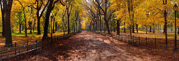 Central Park (Manhattan, New York) Panorama - Peter Lik Central Park (Manhattan, New York) Panorama - Peter Lik