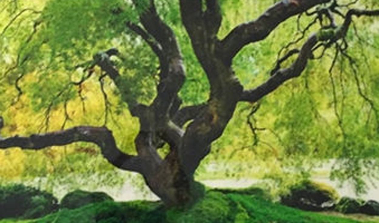 Tree of Serenity AP Epic Mural Size  108 in Panorama by Peter Lik