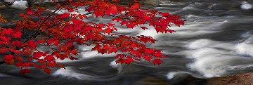 River of Zen (Telluride, Colorado) Panorama - Peter Lik River of Zen (Telluride, Colorado) Panorama - Peter Lik