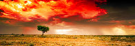 Dreamland (InnamIncka, South Australia) 1.5M Huge Panorama by Peter Lik - 0