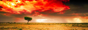 Dreamland (InnamIncka, South Australia) Panorama - Peter Lik Dreamland (InnamIncka, South Australia) Panorama - Peter Lik