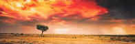 Dreamland (InnamIncka, South Australia) 1.5M Huge Panorama by Peter Lik - 1