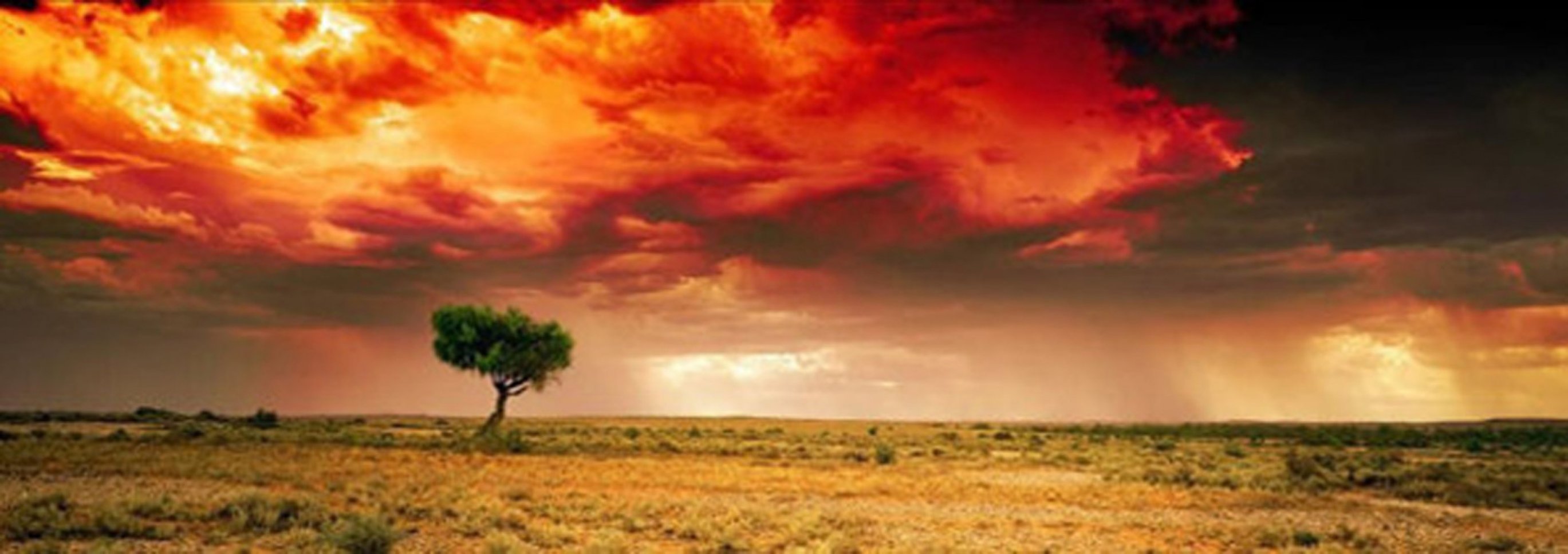 Dreamland (InnamIncka, South Australia)  Panorama by Peter Lik