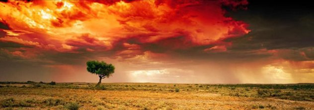 Dreamland 1M  - Innamincka, Australia by Peter Lik