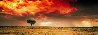 Dreamland 1M  - Innamincka, Australia Panorama by Peter Lik - 0
