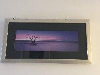 Solitude  (Cape York, Queensland) Panorama by Peter Lik - 1