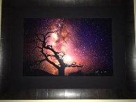 Tree of the Universe (Mauna Kea, Big Island, Hawaii) Panorama by Peter Lik - 1 Tree of the Universe (Mauna Kea, Big Island, Hawaii) Panorama by Peter Lik - 1