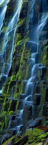 Cascade 1.5M - Huge - Proxy Falls, Oregon Panorama - Peter Lik