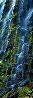 Cascade 1.5M - Huge - Proxy Falls, Oregon - Recess Mount Panorama by Peter Lik - 0